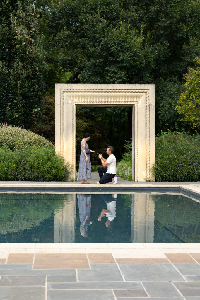 dallas arboretum proposals