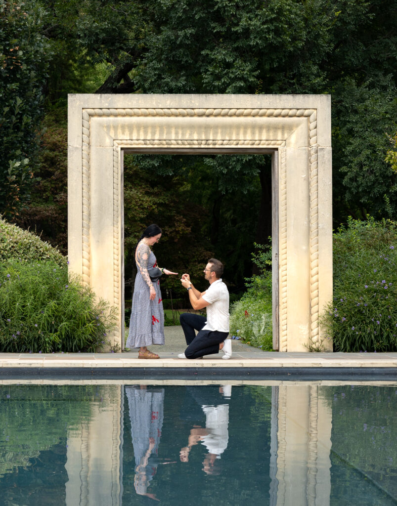 dallas arboretum proposals