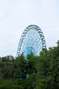 texas discovery gardens wedding