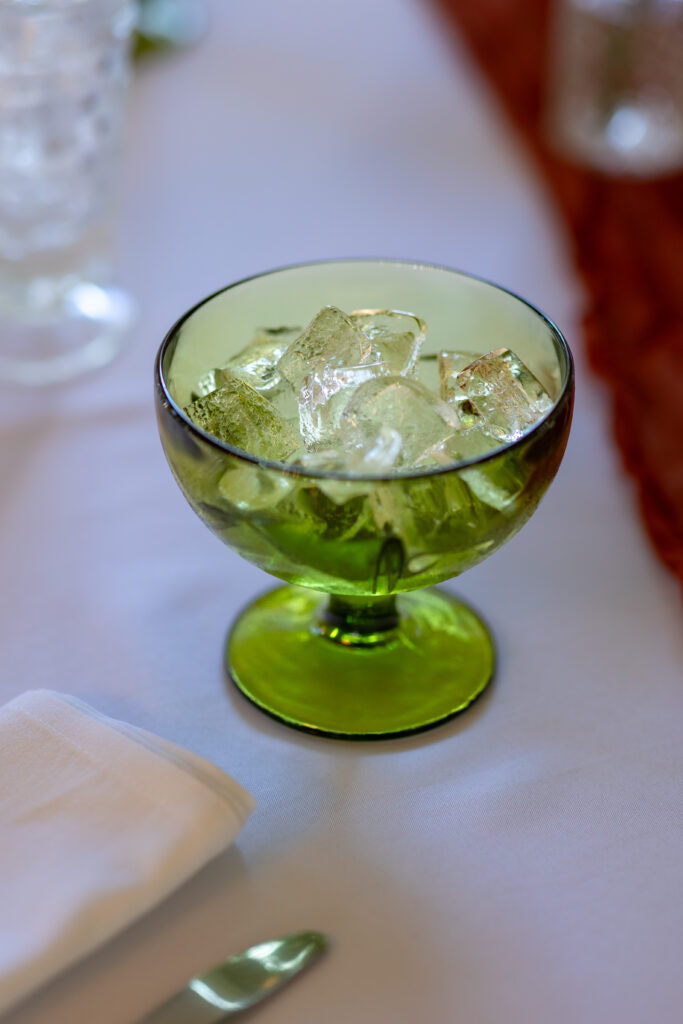 Magnolia Terrace wedding photographer